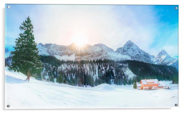 Austrian Alps in winter Acrylic by Daniela Simona Temneanu