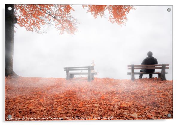Man on bench shrouded by mist in autumn decor Acrylic by Daniela Simona Temneanu