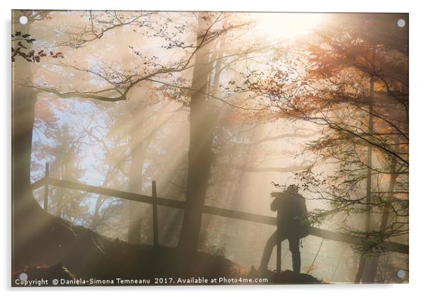 Silhouette of a man under sun rays in autumn color Acrylic by Daniela Simona Temneanu