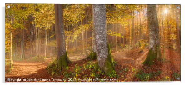 Sunshine through autumn forest Acrylic by Daniela Simona Temneanu