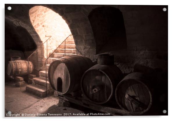 Old wine cellar with wooden barrels and stone stai Acrylic by Daniela Simona Temneanu