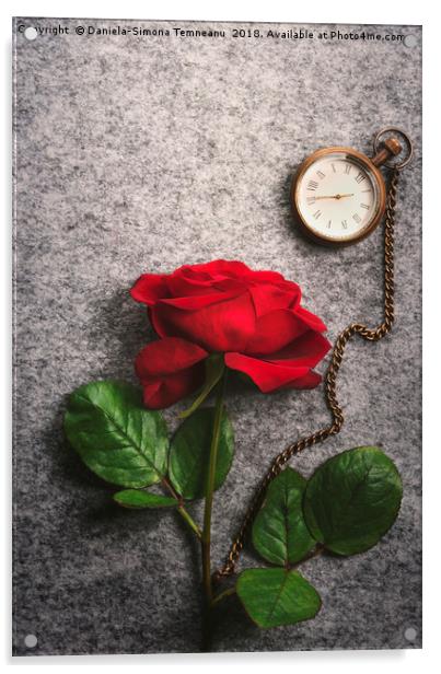 Red rose and a vintage pocket clock Acrylic by Daniela Simona Temneanu