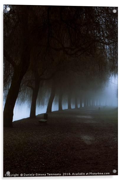 Misty park alley leading to dense fog Acrylic by Daniela Simona Temneanu