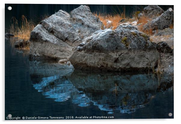 Rocks and dried grass reflected in water Acrylic by Daniela Simona Temneanu