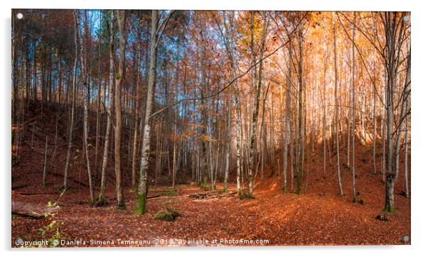 Colorful panorama of an autumn forest Acrylic by Daniela Simona Temneanu