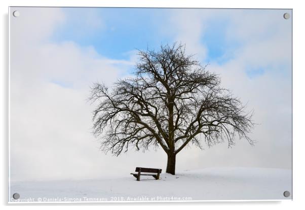 Single tree with bench and snow Acrylic by Daniela Simona Temneanu