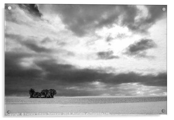 Monochrome winter scenery with trees and snow Acrylic by Daniela Simona Temneanu