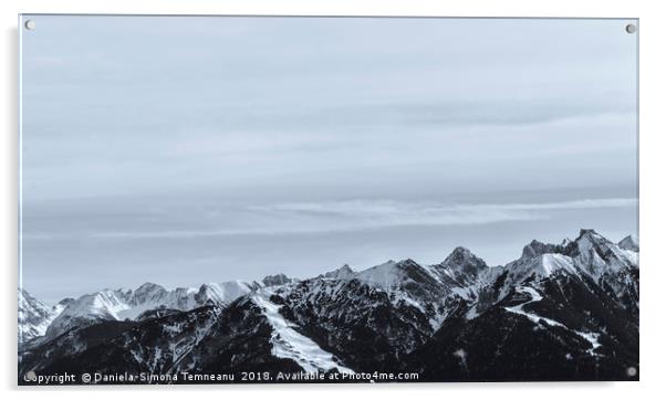 Snow-capped mountain monochrome Acrylic by Daniela Simona Temneanu