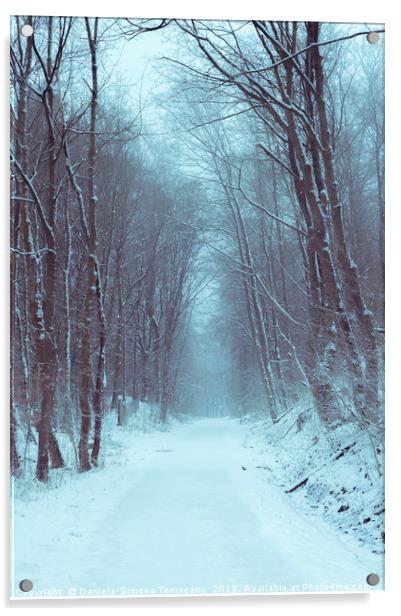 Forest road covered in snow Acrylic by Daniela Simona Temneanu