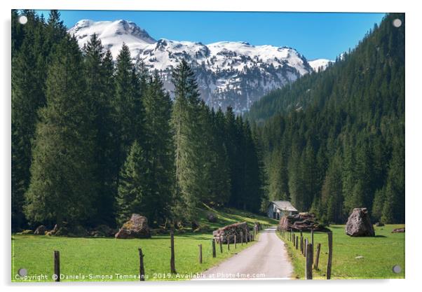 Road toward the green forest and the Swiss Alps. S Acrylic by Daniela Simona Temneanu