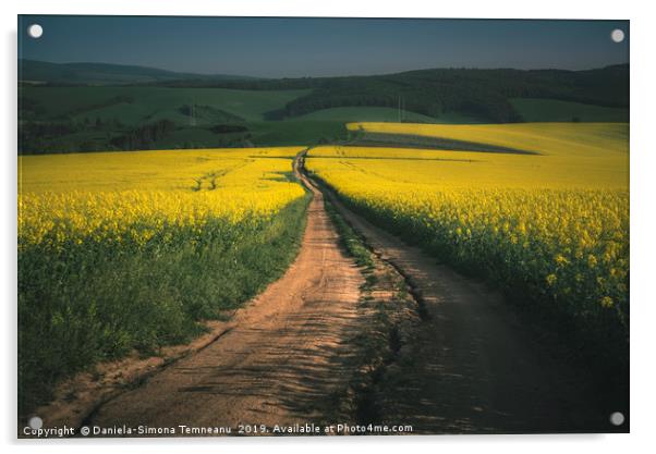 Rapeseed fields in the Moravia Region Acrylic by Daniela Simona Temneanu