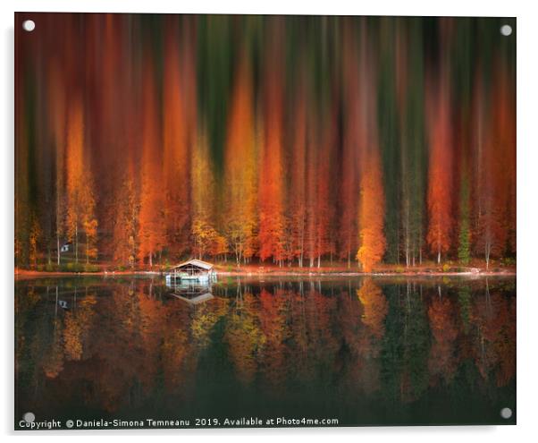 Motion blur autumn forest and water reflection Acrylic by Daniela Simona Temneanu