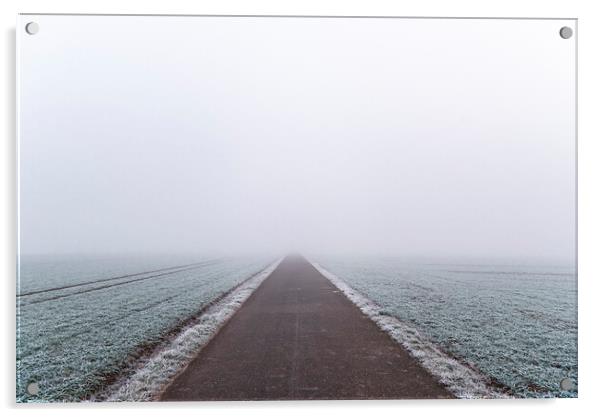 Pathway through frozen agricultural fields. Bicycle route in Germany on winter days Acrylic by Daniela Simona Temneanu