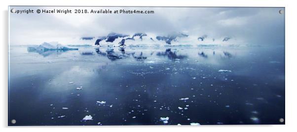 Wilhelmina Bay, Antarctica Acrylic by Hazel Wright