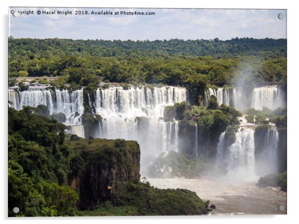 The waterfalls of Iguazu Falls Acrylic by Hazel Wright