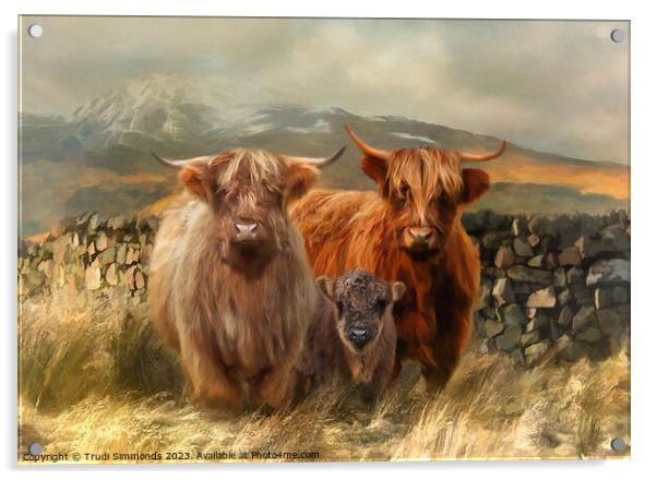 Hairy Coo's Acrylic by Trudi Simmonds