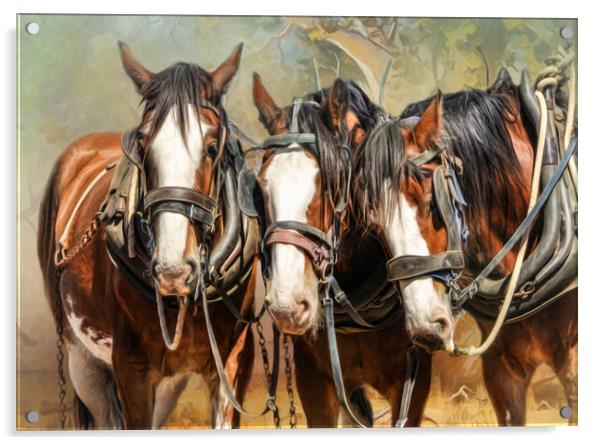 Clydesdale Conversation Acrylic by Trudi Simmonds