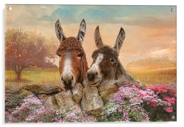 Donkey Duo Acrylic by Trudi Simmonds