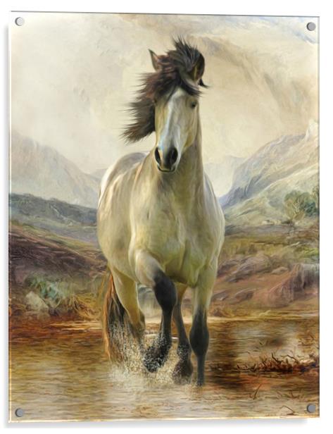 Home On The Moors - Connemara Pony Acrylic by Trudi Simmonds