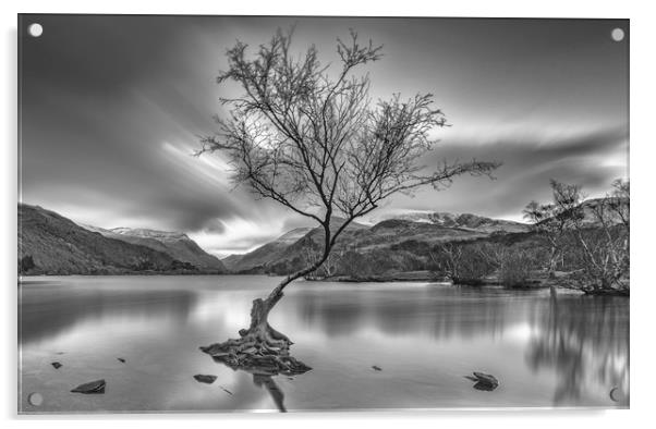 Llyn Padarn Lake Acrylic by Jaromir Ondra