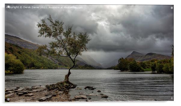 The Lone Tree, Llyn Padarn, LLanberis (panoramic) Acrylic by Derek Daniel