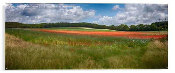 Stunning Red and White Poppies Field Acrylic by Derek Daniel