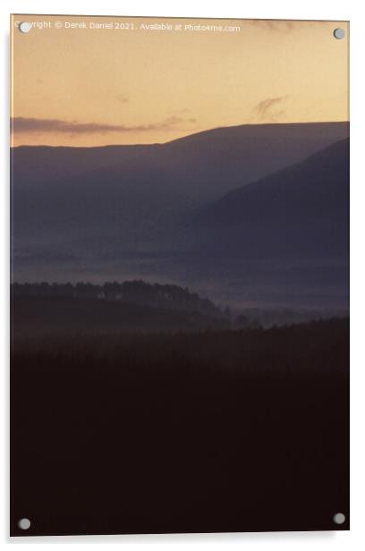 Feshiebridge Forest, Cairngorms Acrylic by Derek Daniel