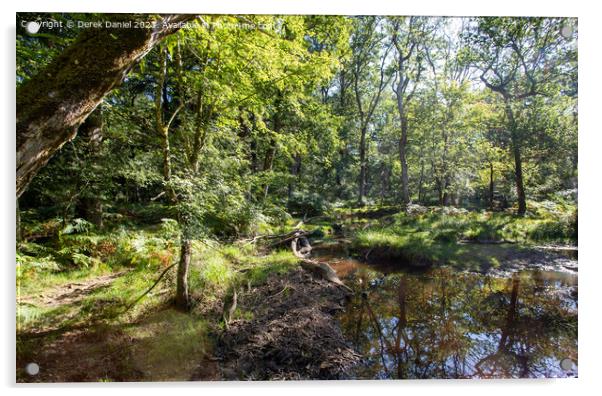 Autumnal Trails in the Enchanting New Forest Acrylic by Derek Daniel