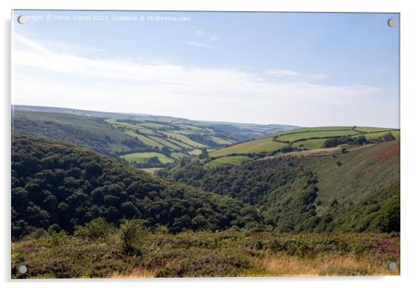 Exmoor Landscape Acrylic by Derek Daniel