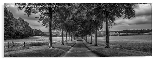 Avenue of Trees, Moor Crichel (mono, panoramic) Acrylic by Derek Daniel