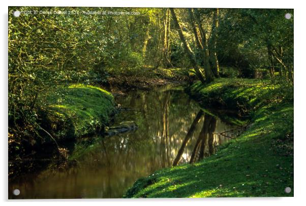 Forest Stream Acrylic by Derek Daniel