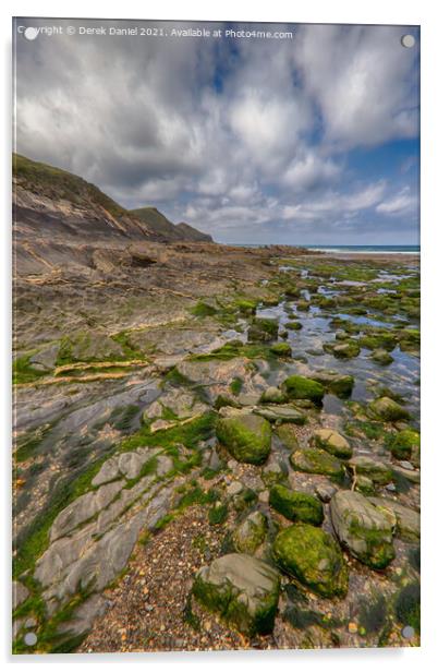 Crackington Haven, Cornwall Acrylic by Derek Daniel