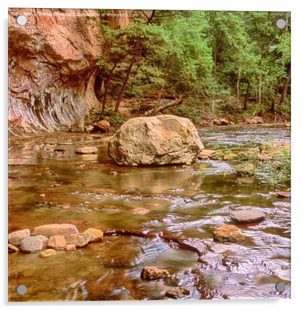 Oak Creek Canyon Acrylic by Derek Daniel