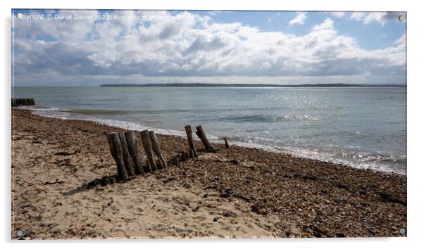 Lepe Beach, Beaulieu, Hampshire Acrylic by Derek Daniel