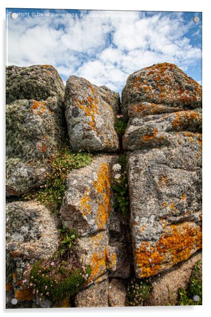 Lichen covered rocks Lands End, Cornwall  Acrylic by Derek Daniel