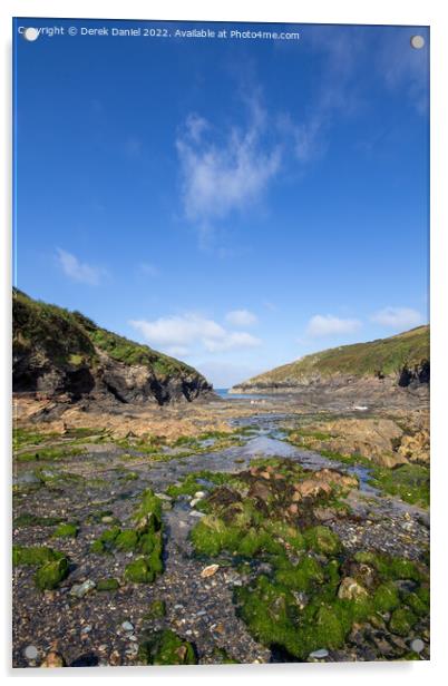 Secluded Cornish Cove Natures Hidden Gem Acrylic by Derek Daniel