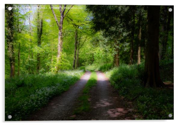 A Walk Through A Mystical Woods Acrylic by Derek Daniel