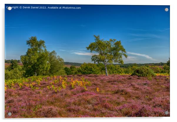 Purple Heather on Rockford Common #2 Acrylic by Derek Daniel