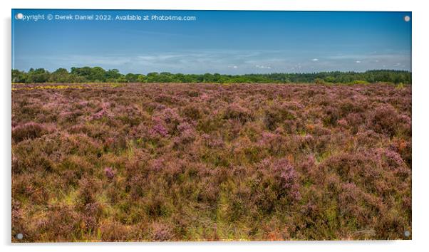  A field of Purple Heather Acrylic by Derek Daniel