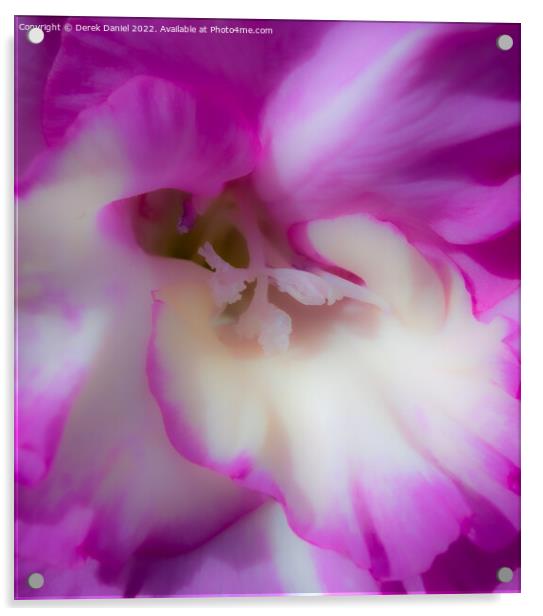 Petals of Artistry Acrylic by Derek Daniel