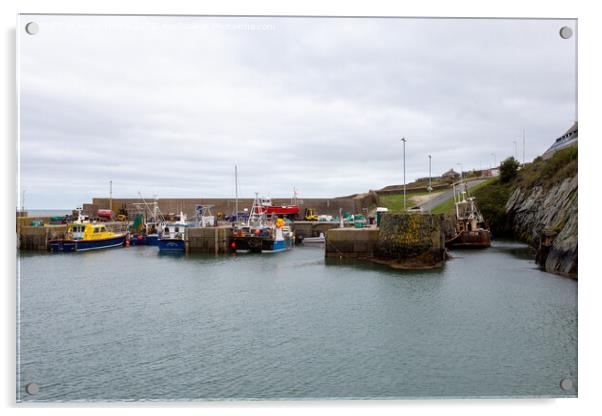 A Glimpse into Amlwch Harbour Acrylic by Derek Daniel