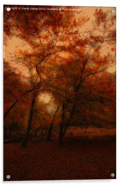 Autumn Forest Scene Acrylic by Derek Daniel