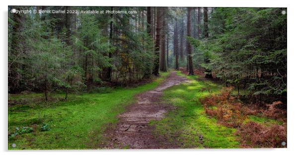 Enchanting Forest Trail Acrylic by Derek Daniel