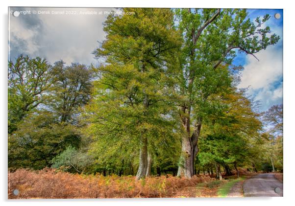 Enchanting Autumn Woods Acrylic by Derek Daniel