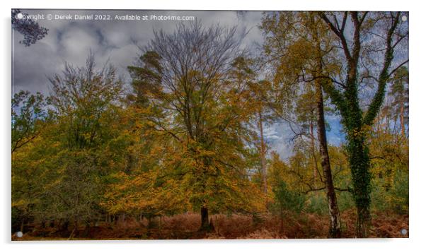 Autumn in the forest Acrylic by Derek Daniel