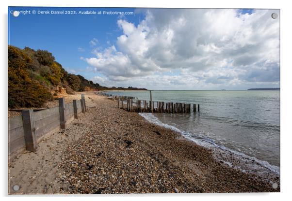 The Eroding Beauty of Lepe Beach Acrylic by Derek Daniel