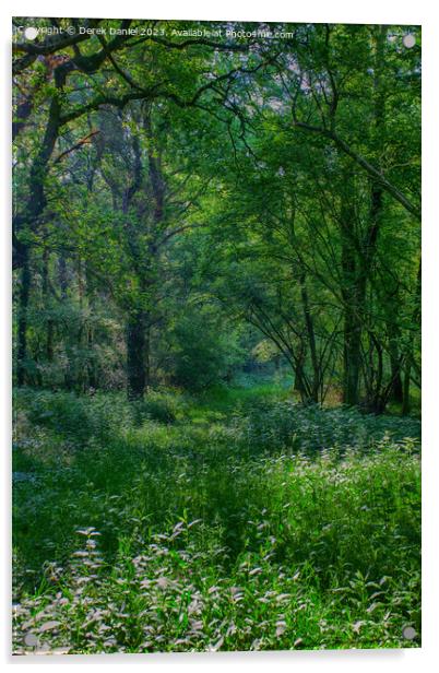 Enchanting Forest Walk Acrylic by Derek Daniel