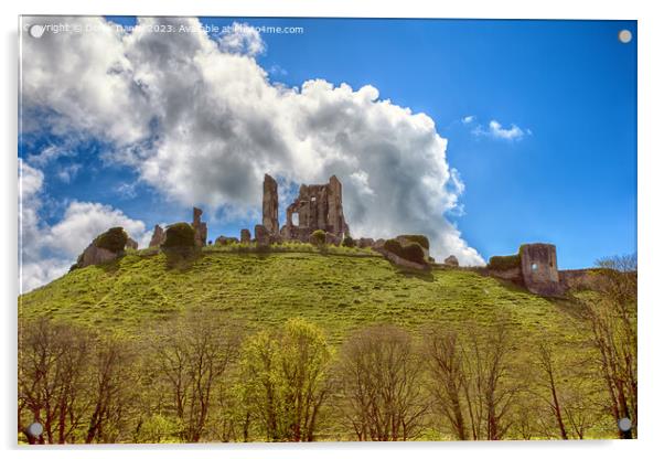 Majestic Ruins of Corfe Castle Acrylic by Derek Daniel