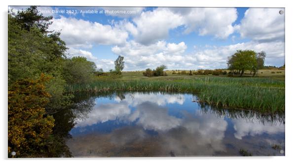 Tranquil Waters of Hatchet Pond Acrylic by Derek Daniel