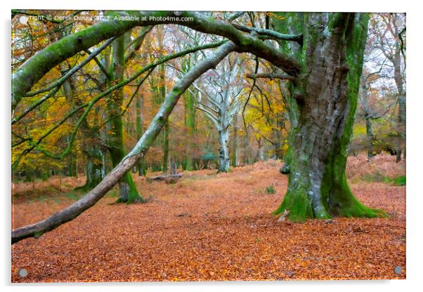 Enchanting Autumn Woodland Acrylic by Derek Daniel